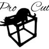 ProCube