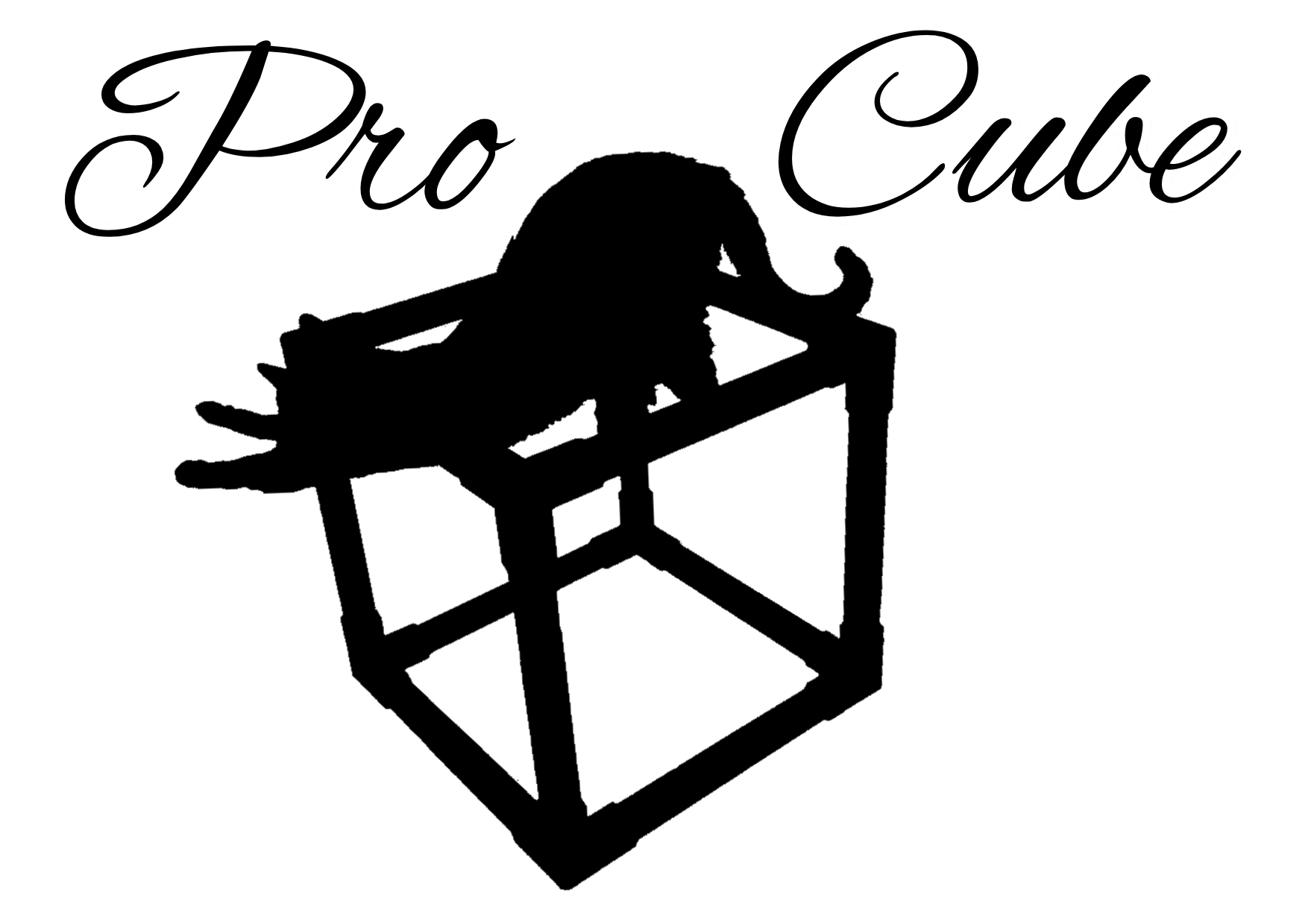 ProCube